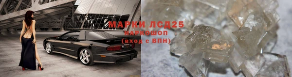 спайс Алзамай