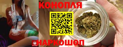 мяу мяу мука Кандалакша