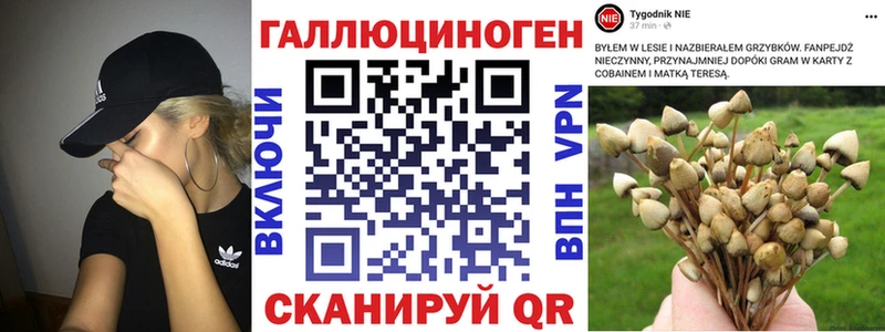 Псилоцибиновые грибы GOLDEN TEACHER  Лесосибирск 