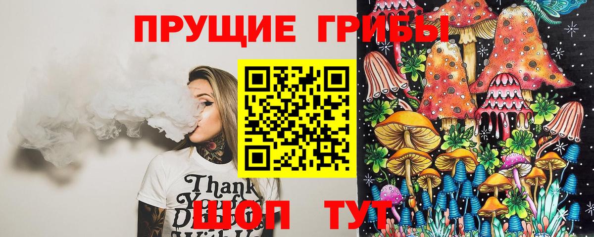 Псилоцибиновые грибы Cubensis  Псилоцибиновые грибы прущие грибы  Вход с VPN  Лесосибирск 