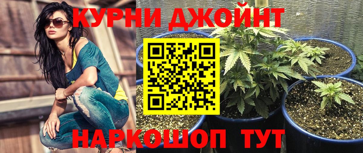 Конопля SATIVA & INDICA  Конопля Amnesia  Вход с VPN  Лесосибирск  Шишки марихуана OG Kush  Каннабис план 